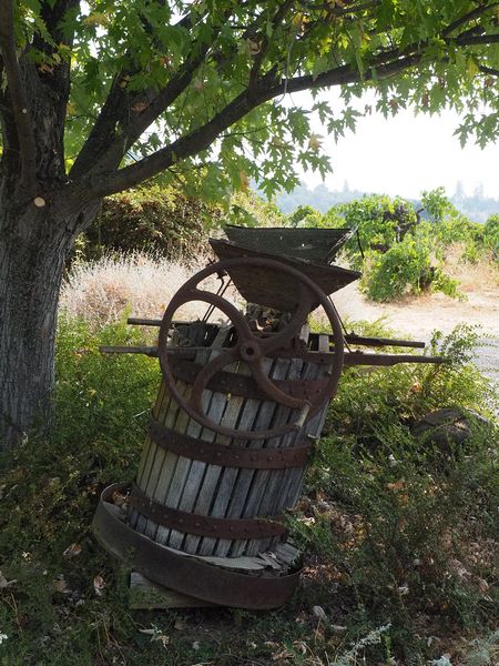 An old grape press